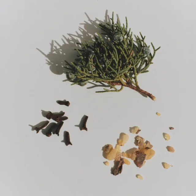 Metamorph, фото 3