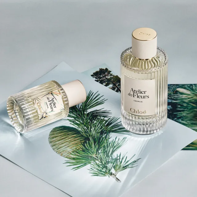 Atelier Des Fleurs Cedrus, фото 5