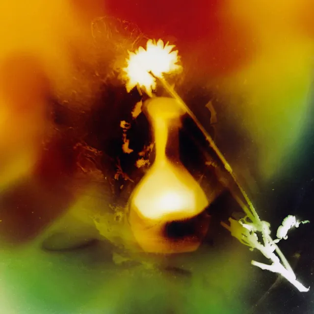 Sun Force, фото 4