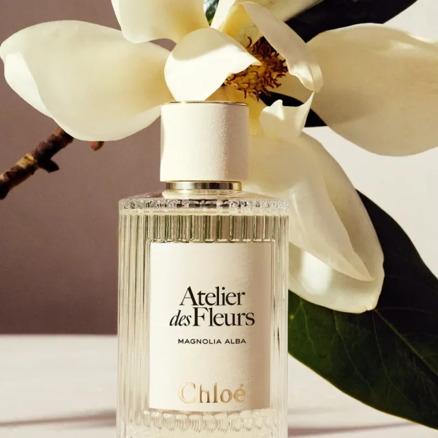 Atelier Des Fleurs Magnolia Alba, фото 4