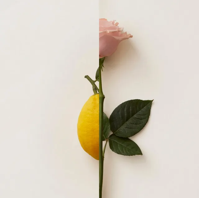 Rosa Limone, 50 мл, фото 3