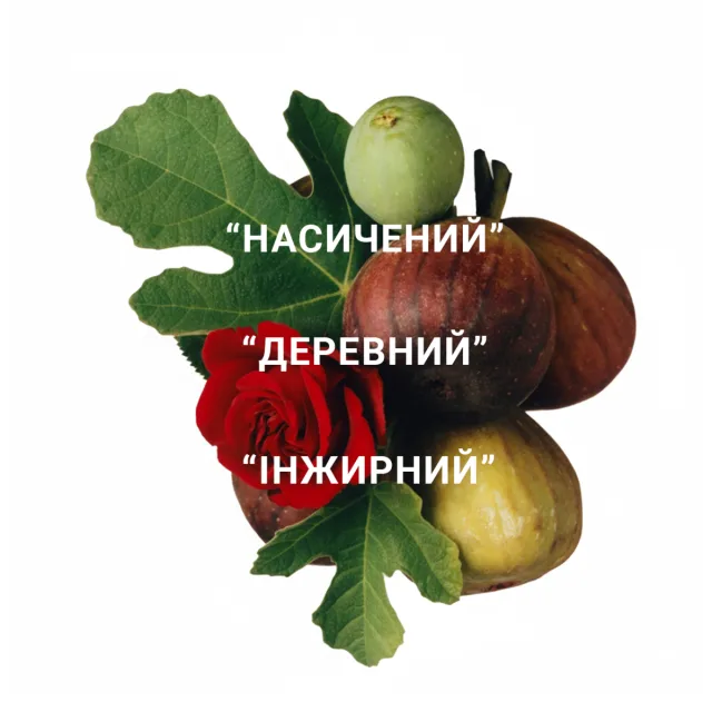 Zepherine, фото 2