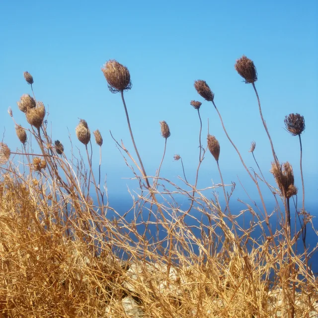 Le chant d’Achille, фото 5