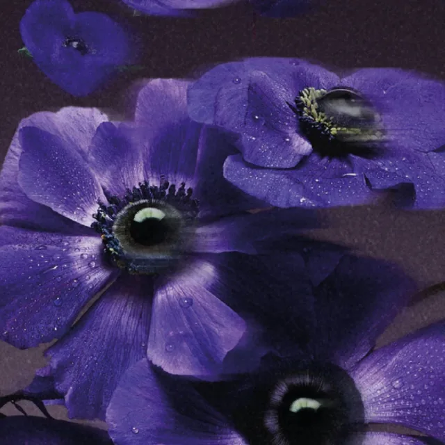 Ame de Fleur, фото 6