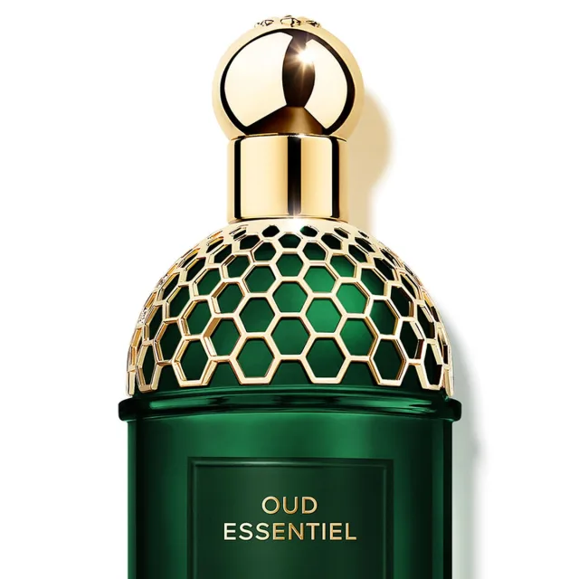 Absolus Allegoria Oud Essentiel