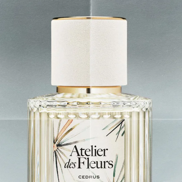Atelier Des Fleurs Cedrus, фото 3