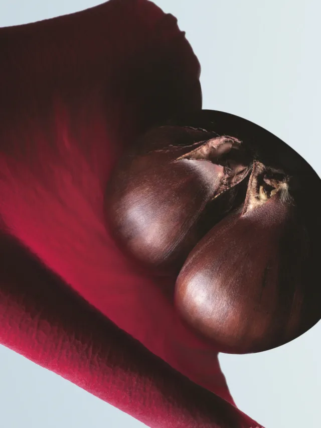 Soie Malaquais, фото 4