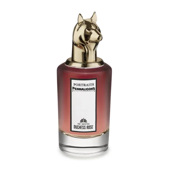 The Coveted Duchess Rose