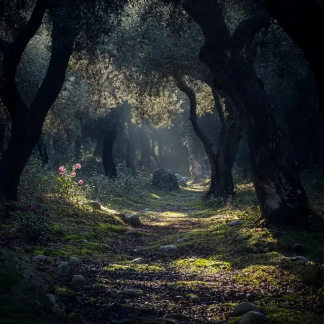 A l’Ombre d'Artemis, фото 3