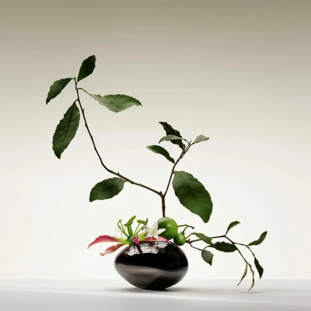 Thé Yulong, фото 5