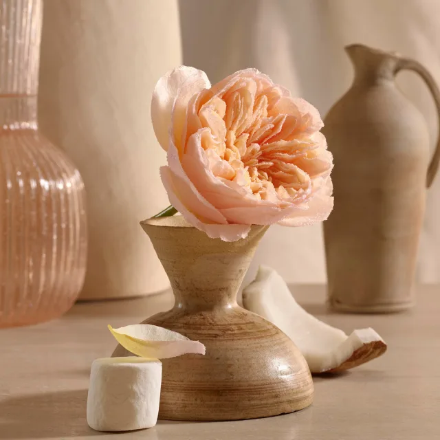Lalla La Rose, фото 3