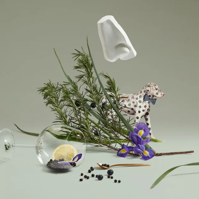 Juniper Sling, фото 3