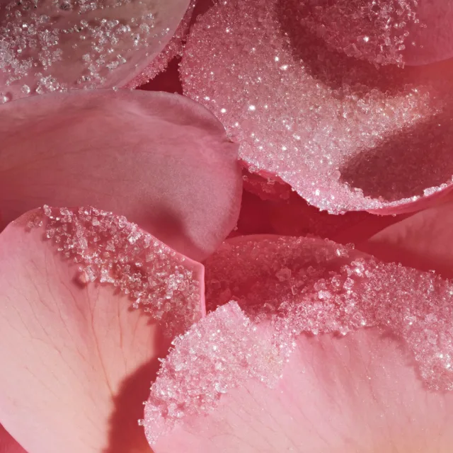Lalla La Rose, фото 5
