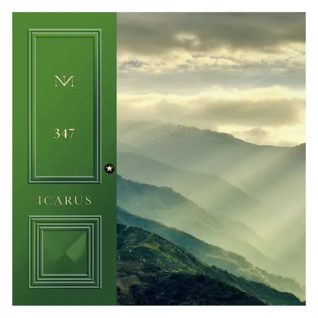 Icarus 347, фото 4